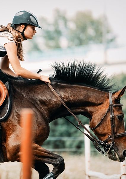 Equestrian Products Manufacturer Equestrian Products Manufacturer