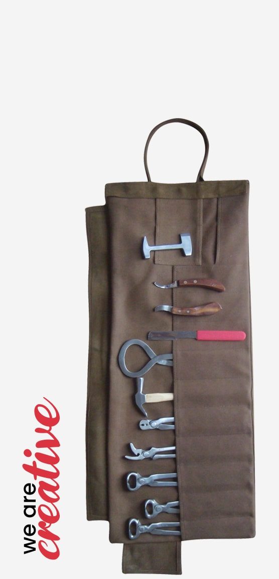 Farrier Shoe Removal Kit